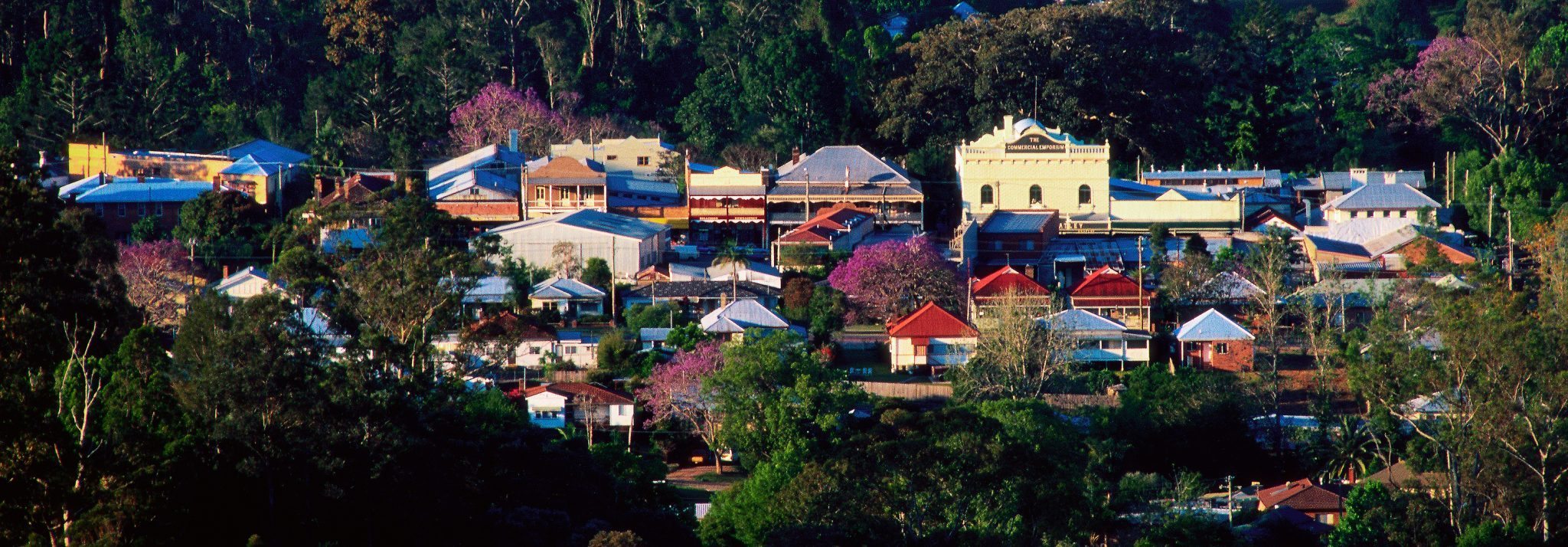 Affirmations Book Publishers Location In Bellingen